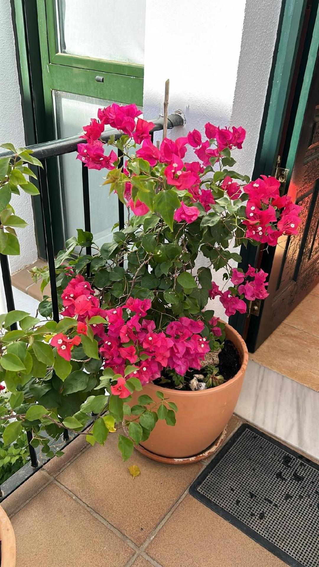 Beautiful Duplex With A Patio Casa de Férias *
