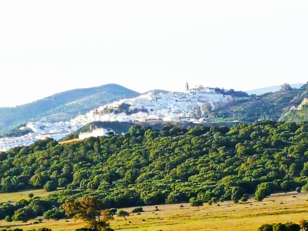 Beautiful Duplex With A Patio Alcalá de los Gazules